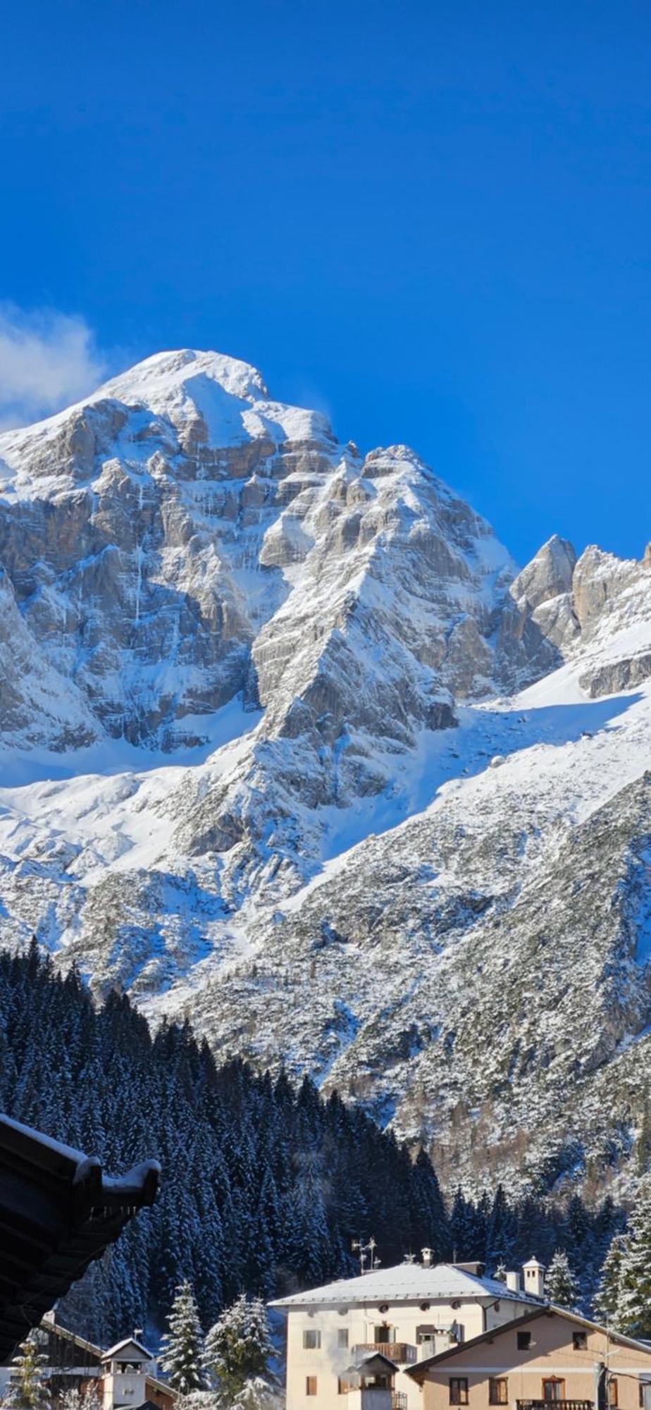 Romantic Chalet Dolomiti ヴァル・ディ・ゾルド エクステリア 写真
